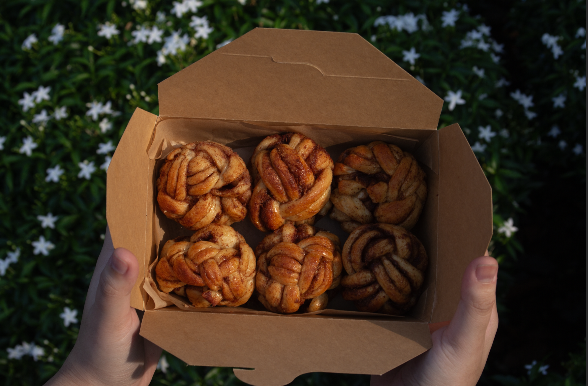 Cozy Bites